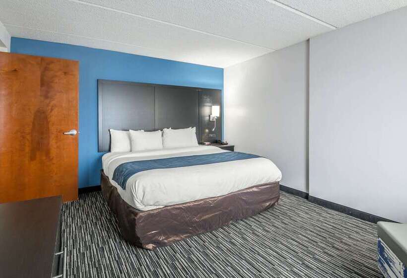 فندق Comfort Inn University