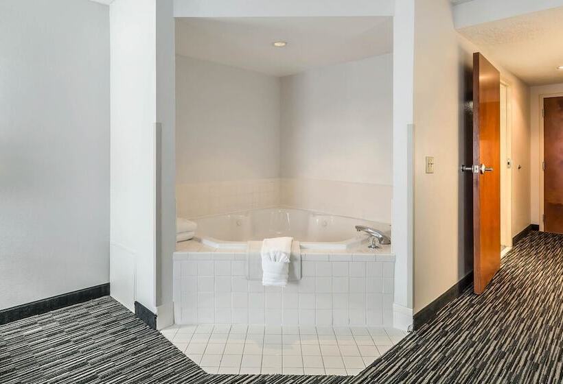 فندق Comfort Inn University