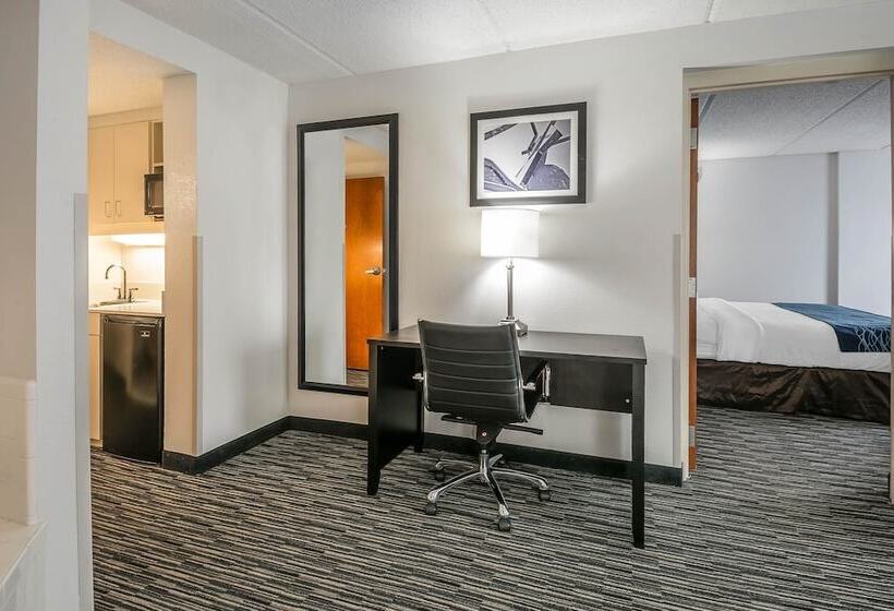 فندق Comfort Inn University