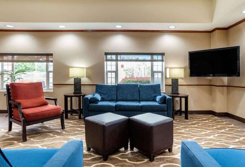 فندق Comfort Suites Airport