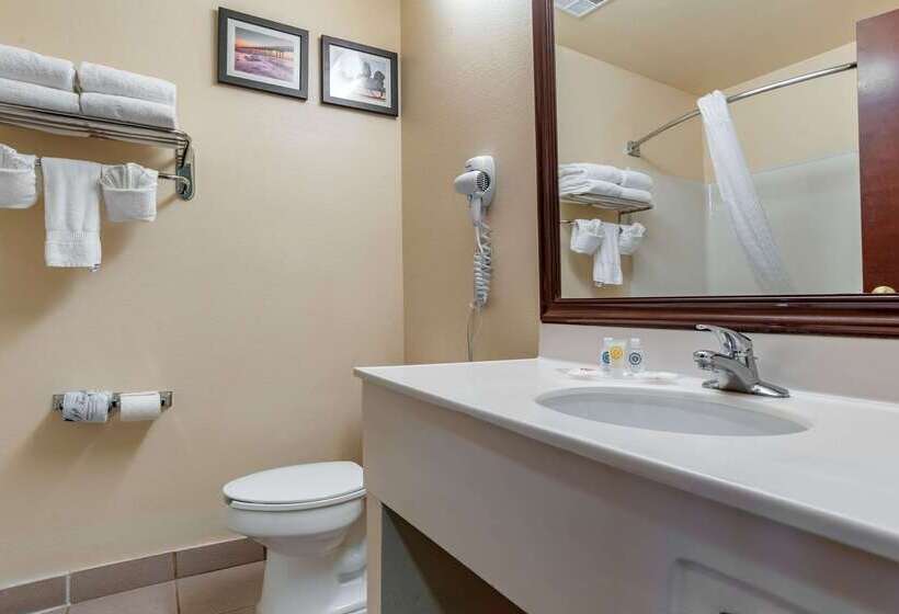 فندق Comfort Suites Airport