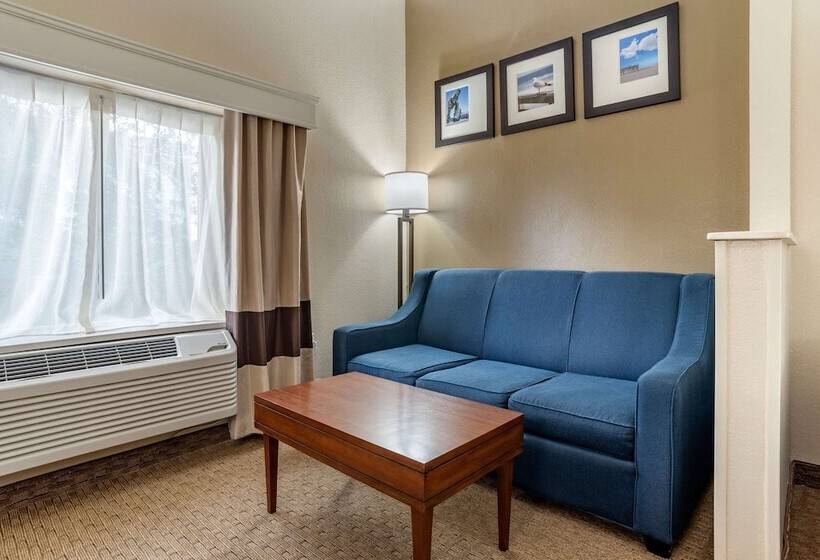 酒店 Comfort Suites Airport