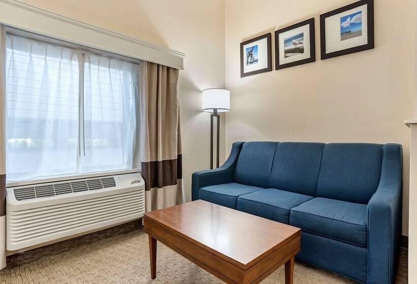 فندق Comfort Suites Airport