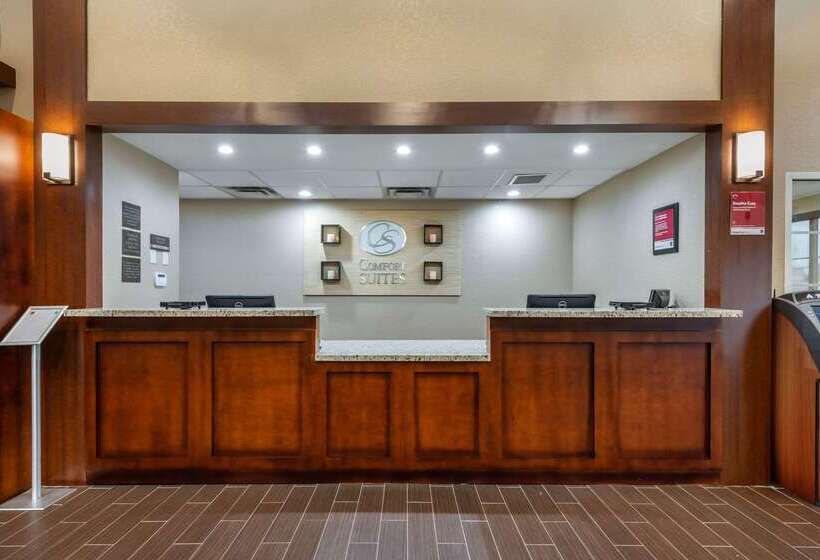 호텔 Comfort Suites Downtown