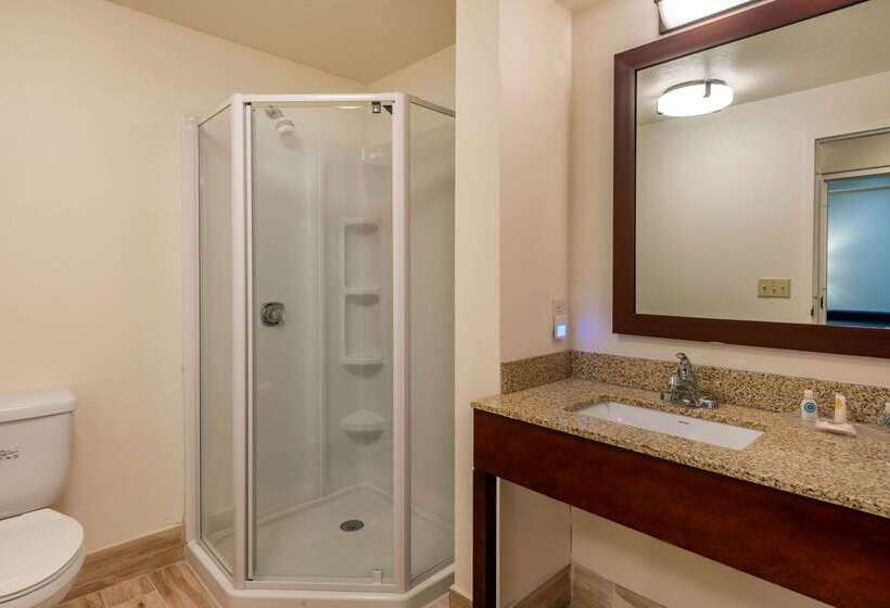 호텔 Comfort Suites Downtown