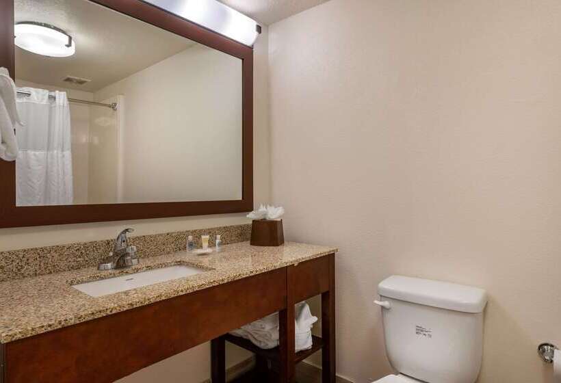 호텔 Comfort Suites Downtown