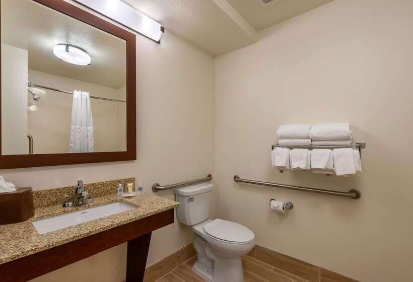 酒店 Comfort Suites Downtown