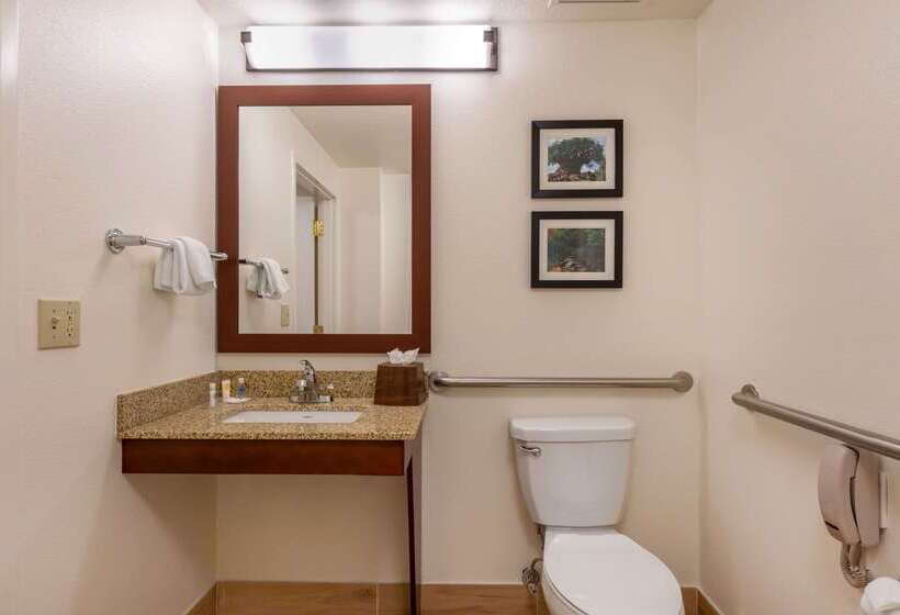 호텔 Comfort Suites Downtown