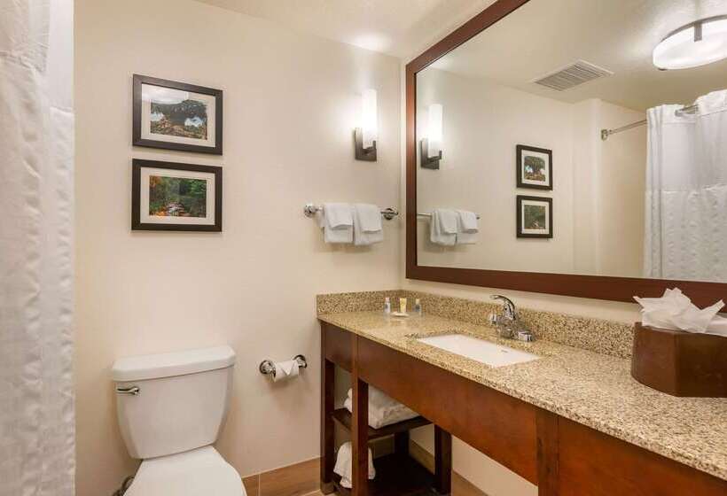 호텔 Comfort Suites Downtown