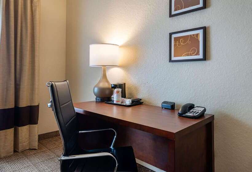 호텔 Comfort Suites Downtown