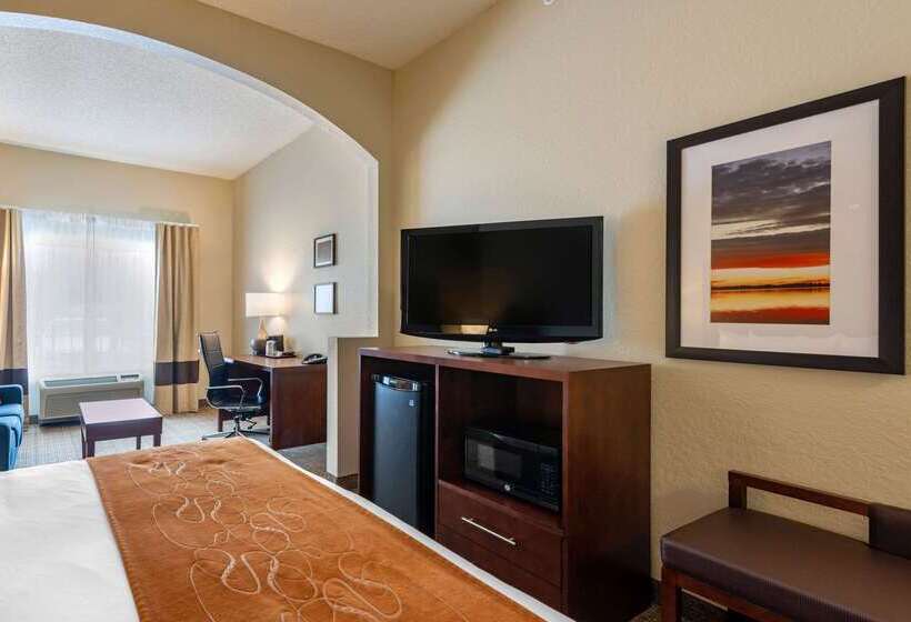 호텔 Comfort Suites Downtown