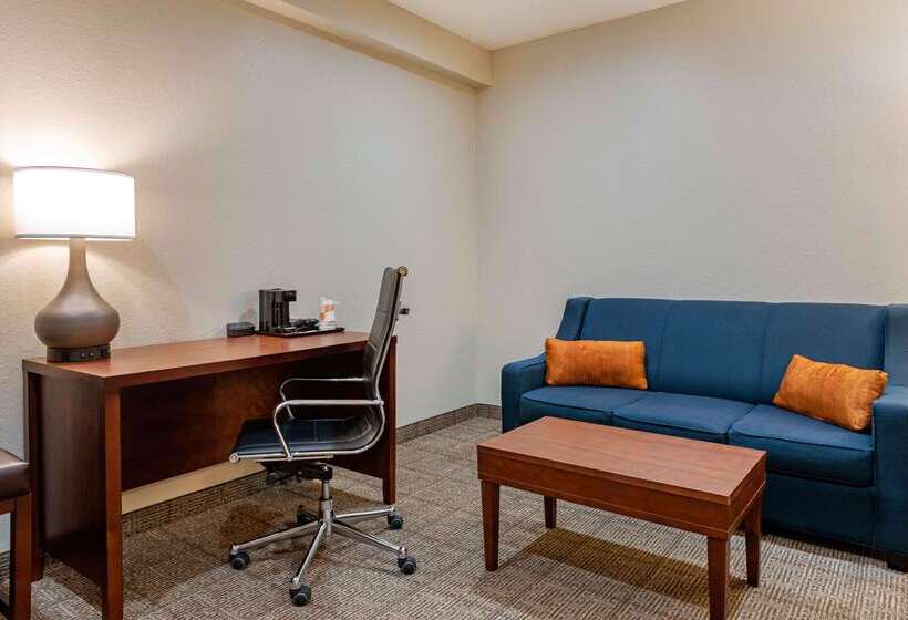 호텔 Comfort Suites Downtown