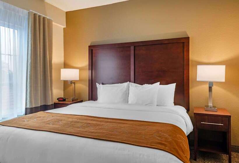 Hotel Comfort Suites Downtown