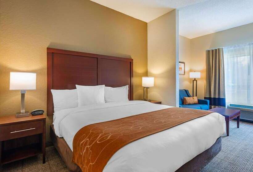 酒店 Comfort Suites Downtown