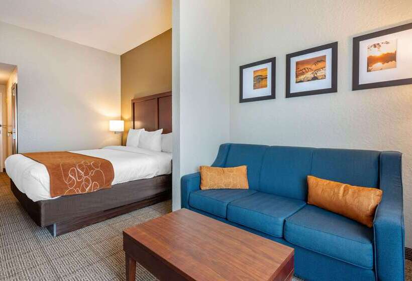 호텔 Comfort Suites Downtown