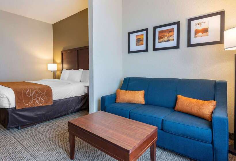 酒店 Comfort Suites Downtown