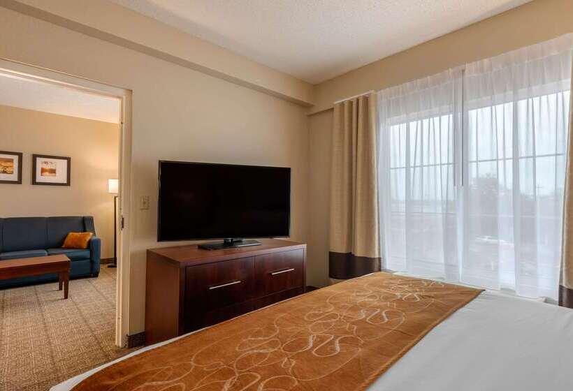 酒店 Comfort Suites Downtown