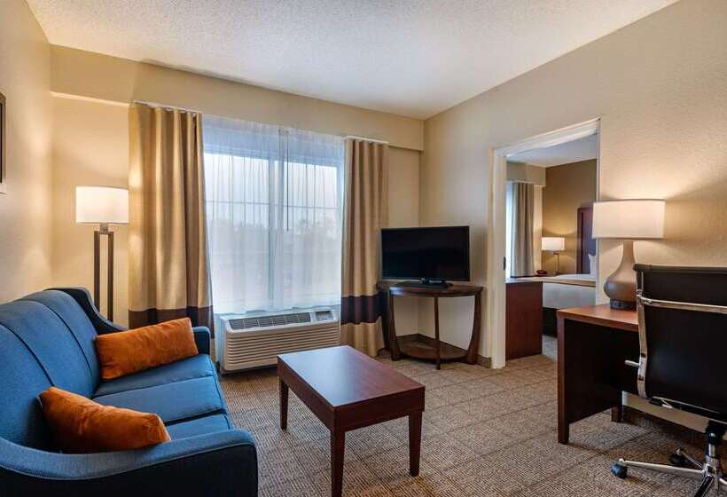 호텔 Comfort Suites Downtown