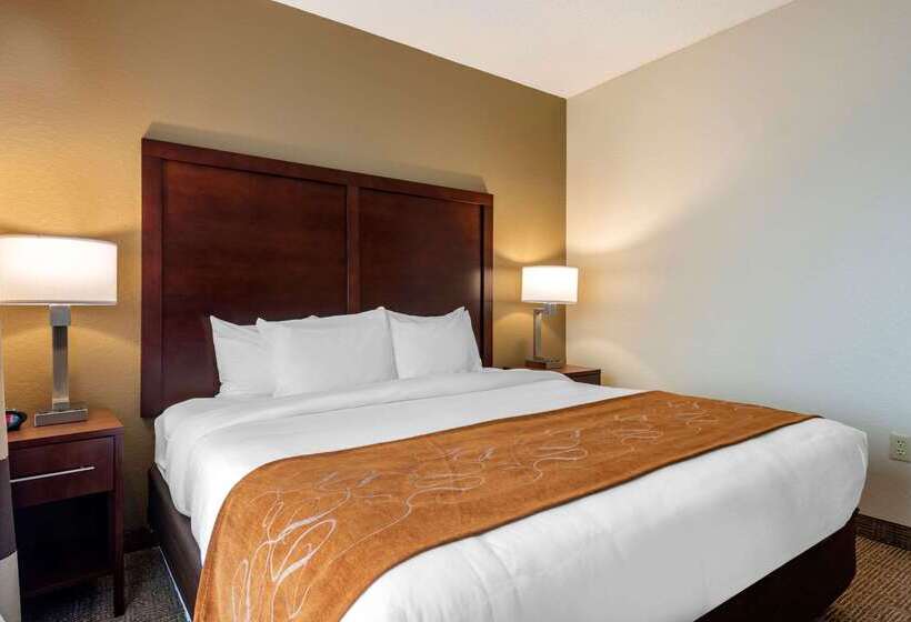 酒店 Comfort Suites Downtown