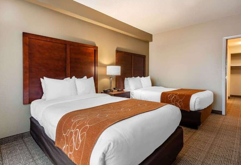 호텔 Comfort Suites Downtown