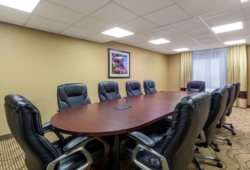 酒店 Comfort Suites Downtown