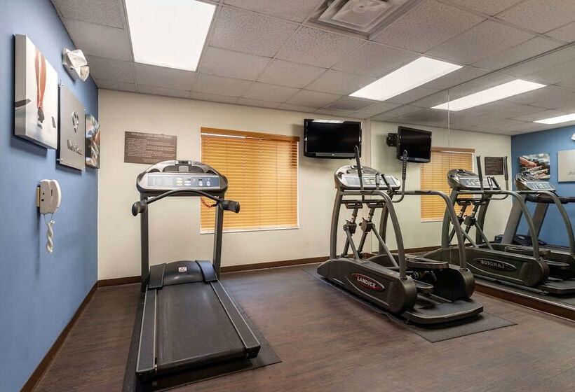 酒店 Comfort Suites Downtown