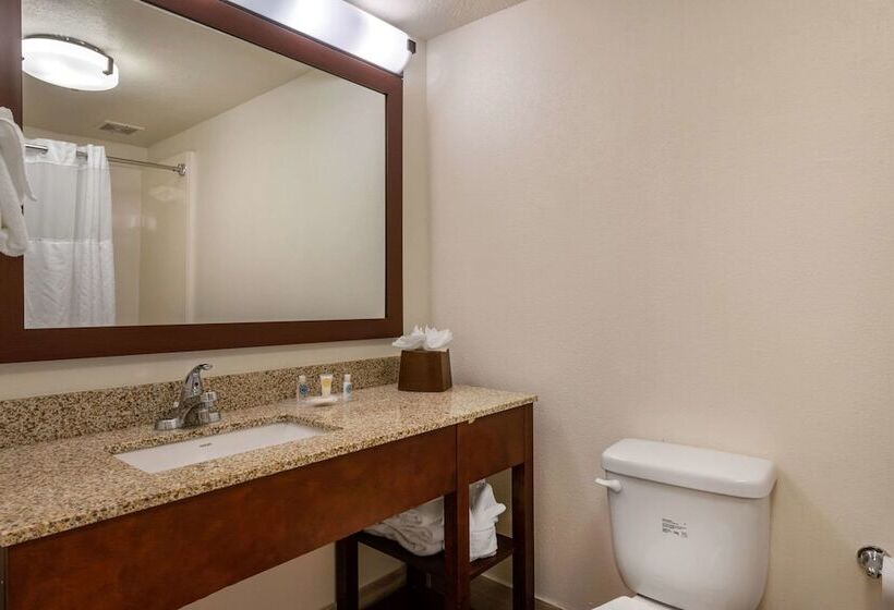 酒店 Comfort Suites Downtown