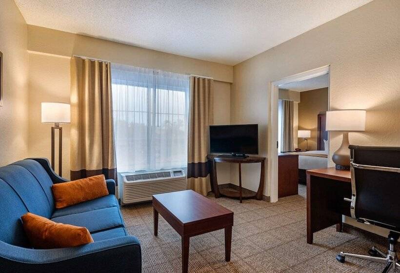 호텔 Comfort Suites Downtown