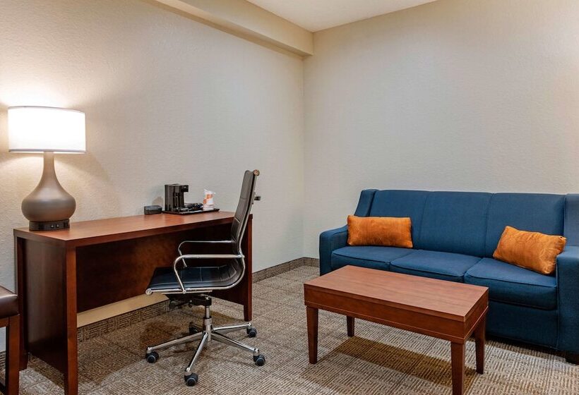 호텔 Comfort Suites Downtown