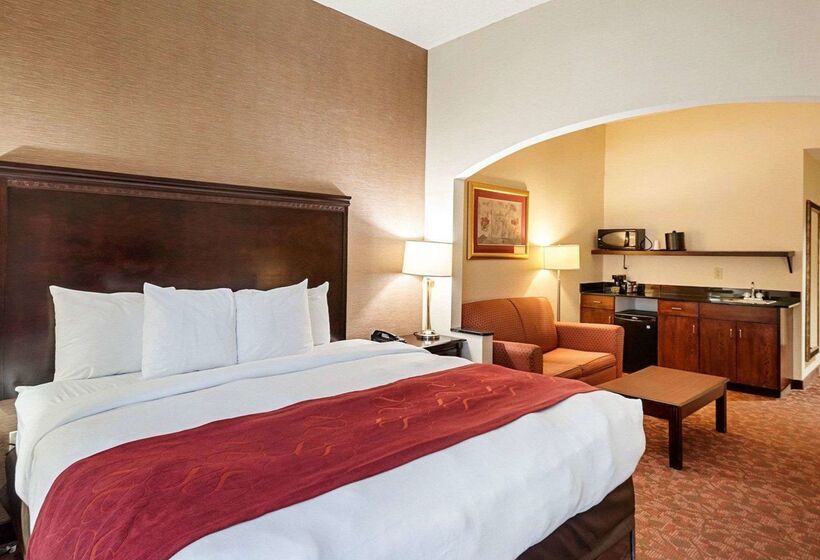 호텔 Comfort Suites Dulles Airport