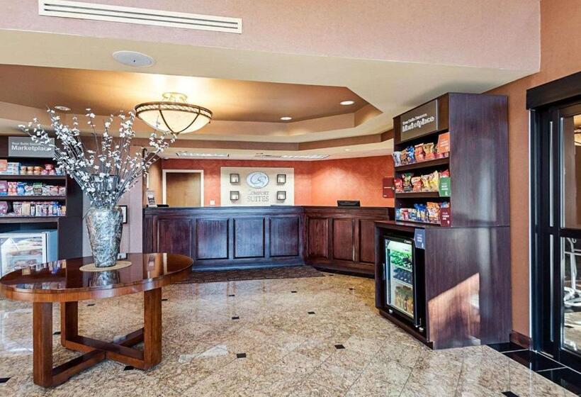 호텔 Comfort Suites Dulles Airport