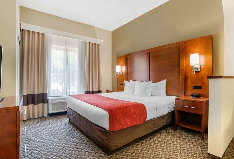 فندق Comfort Suites Tallahassee Downtown