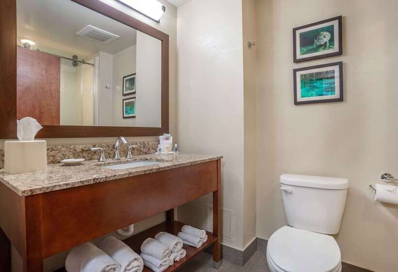 בית מלון כפרי Comfort Suites Tallahassee Downtown