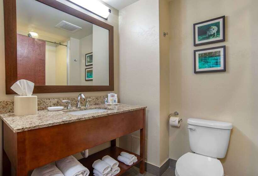 בית מלון כפרי Comfort Suites Tallahassee Downtown