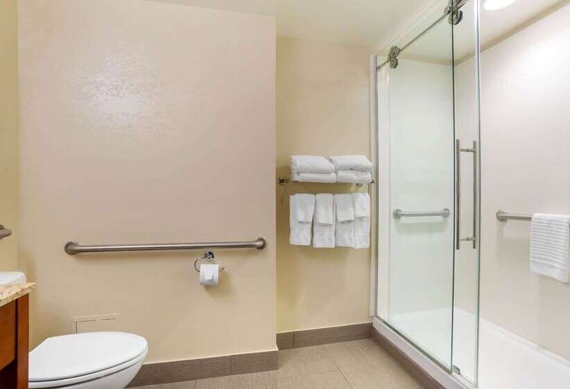 בית מלון כפרי Comfort Suites Tallahassee Downtown