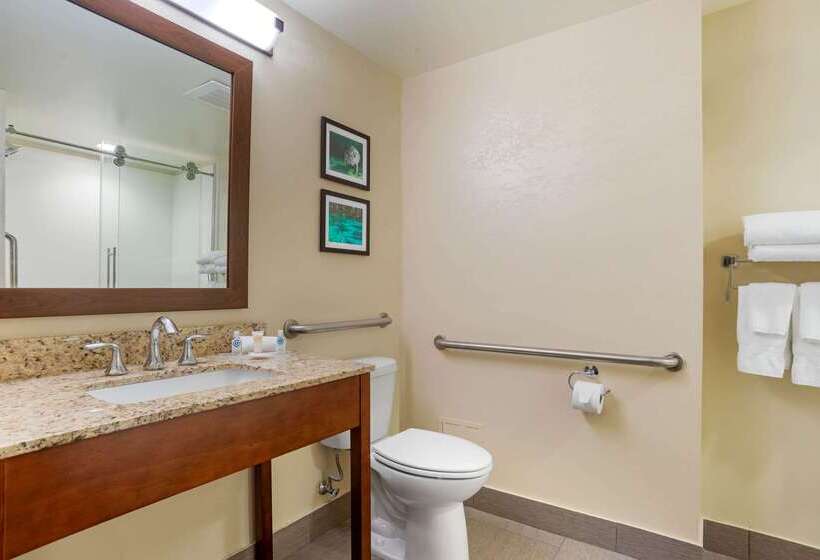 בית מלון כפרי Comfort Suites Tallahassee Downtown