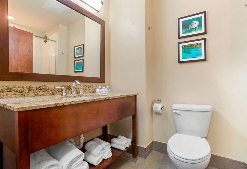 בית מלון כפרי Comfort Suites Tallahassee Downtown