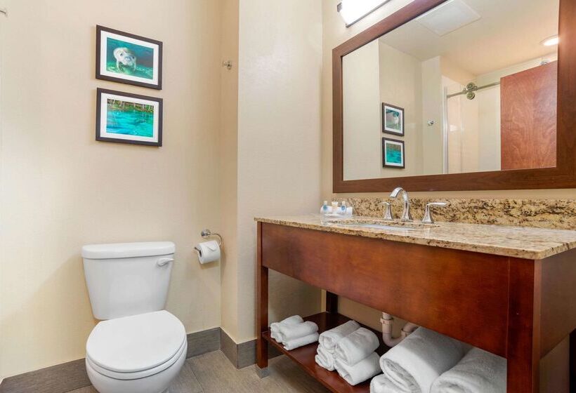 בית מלון כפרי Comfort Suites Tallahassee Downtown