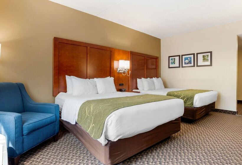 בית מלון כפרי Comfort Suites Tallahassee Downtown