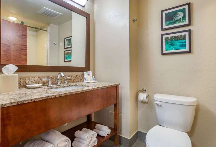 בית מלון כפרי Comfort Suites Tallahassee Downtown