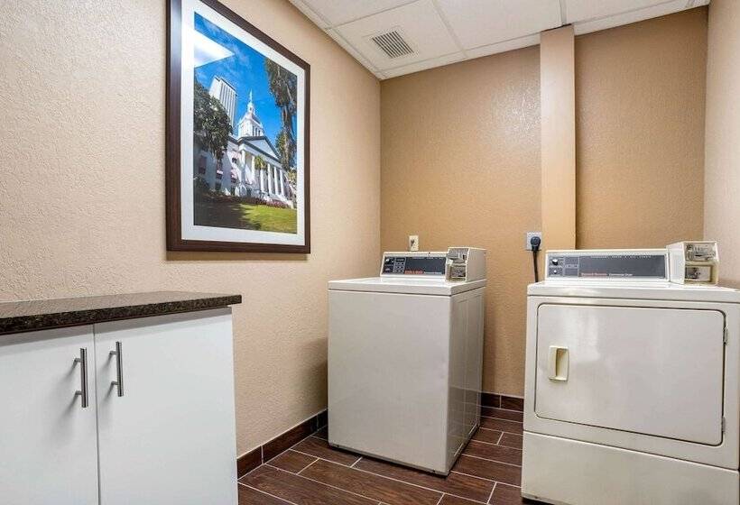 בית מלון כפרי Comfort Suites Tallahassee Downtown