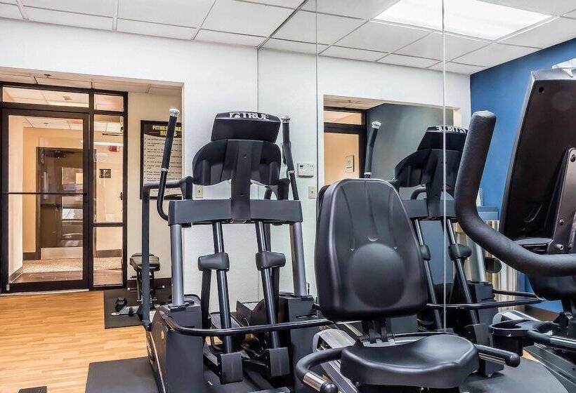 בית מלון כפרי Comfort Suites Tallahassee Downtown