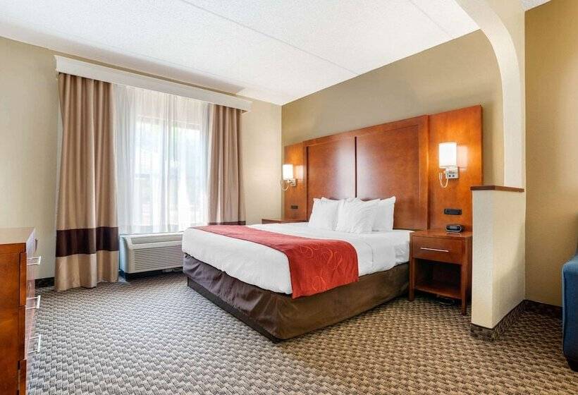 בית מלון כפרי Comfort Suites Tallahassee Downtown