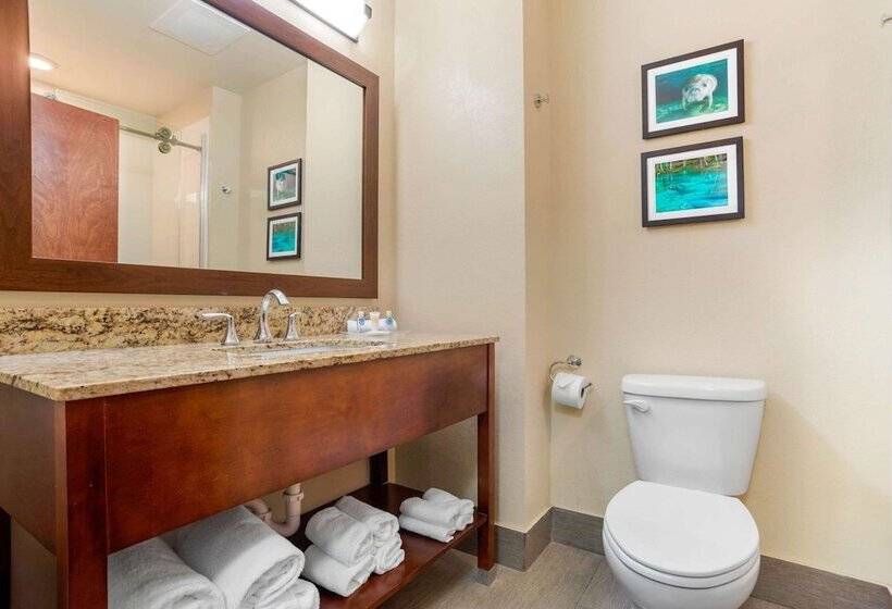 בית מלון כפרי Comfort Suites Tallahassee Downtown