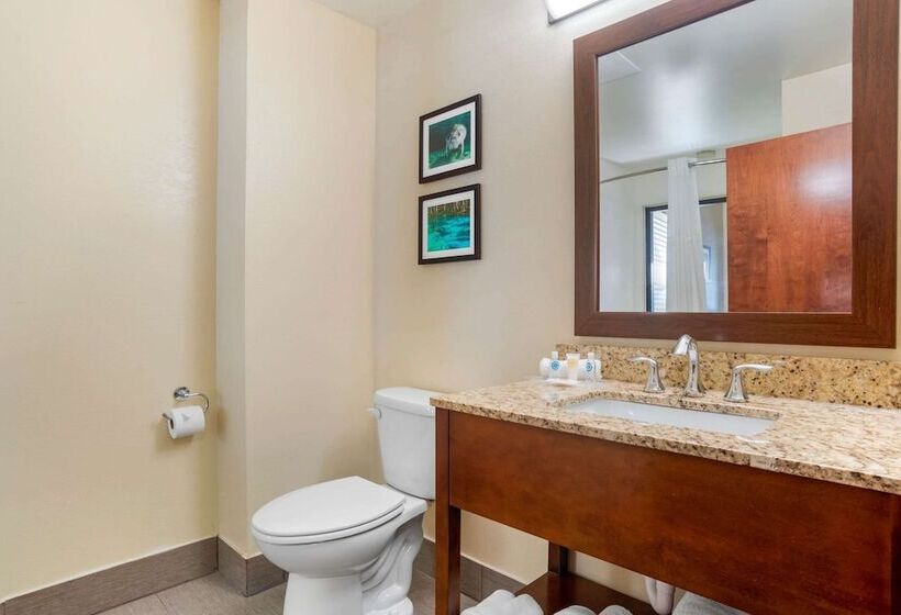 בית מלון כפרי Comfort Suites Tallahassee Downtown