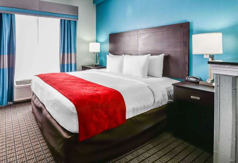 Hotell Comfort Suites Tampa  Brandon
