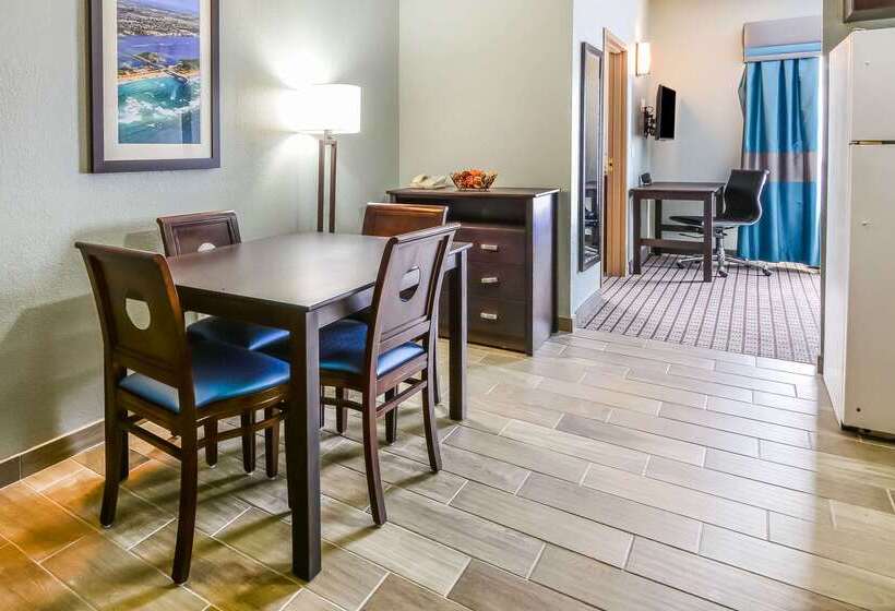 Hotell Comfort Suites Tampa  Brandon