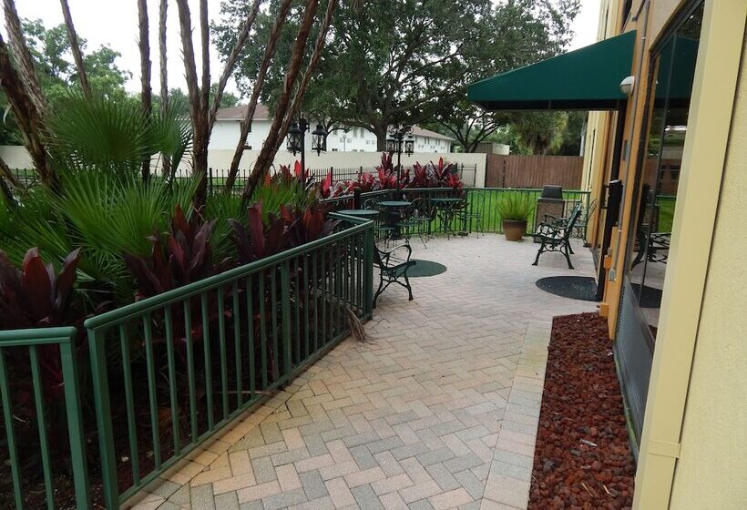 Hotell Comfort Suites Tampa  Brandon