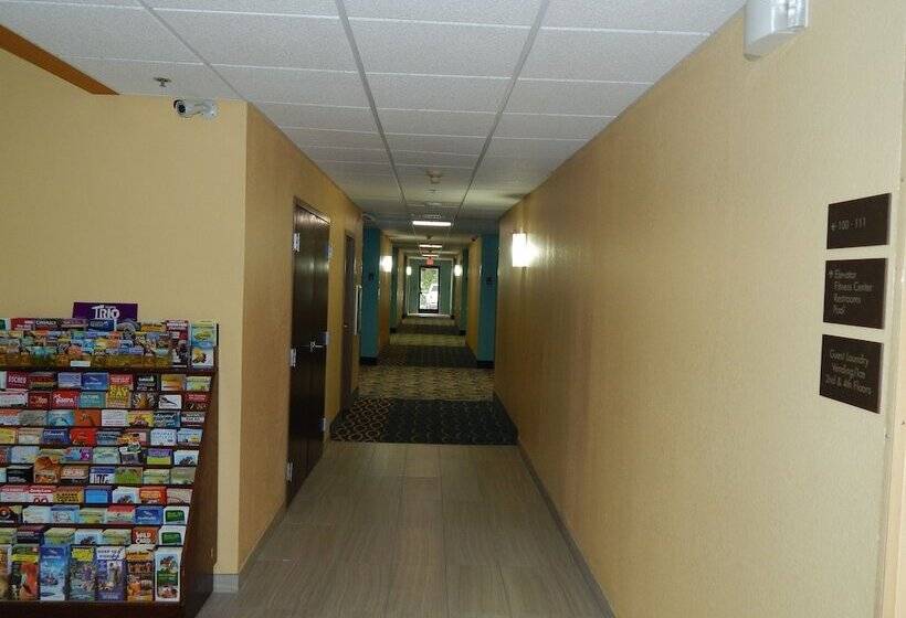 Hotell Comfort Suites Tampa  Brandon