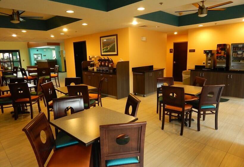 Hotell Comfort Suites Tampa  Brandon